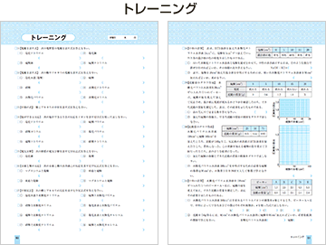 トレーニング