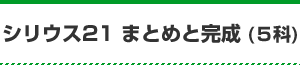 シリウス21 まとめと完成