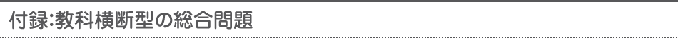 付録：教科横断型の総合問題