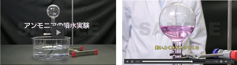 理科実験動画の画面サンプル