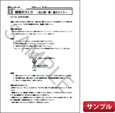 理科実験プリントサンプル