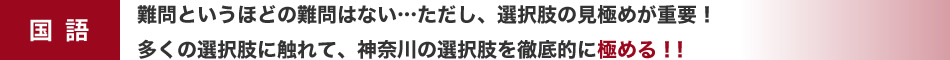 国語：難問というほどの難問はない…ただし、選択肢の見極めが重要！多くの選択肢に触れて、神奈川の選択肢を徹底的に極める！！