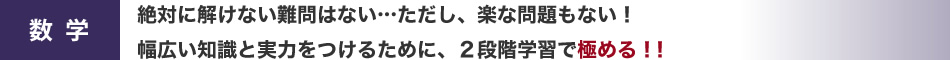 数学：絶対に解けない難問はない…ただし、楽な問題もない！幅広い知識と実力をつけるために、２段階学習で極める！！