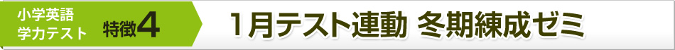 特徴4：1月テスト連動 冬期練成ゼミ