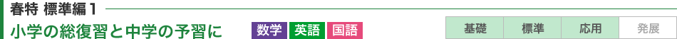 小学の総復習と中学の予習に