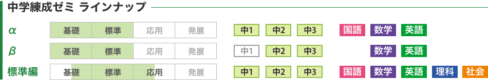 中学練成ゼミ ラインナップ