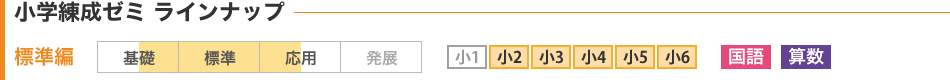 小学練成ゼミ ラインナップ