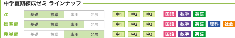 中学夏期練成ゼミ ラインナップ