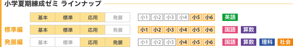 小学夏期練成ゼミ ラインナップ