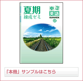 夏期練成ゼミαシリーズ 英語