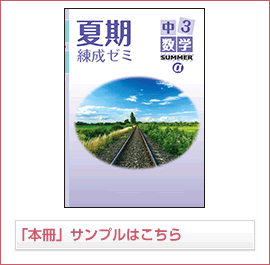 夏期練成ゼミαシリーズ 数学