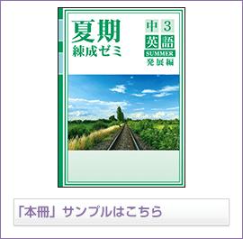 夏期練成ゼミ発展シリーズ 英語