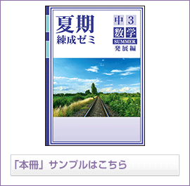 夏期練成ゼミ発展シリーズ 数学