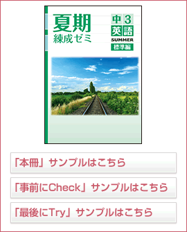 夏期練成ゼミ標準編シリーズ 英語