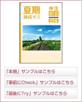 夏期練成ゼミ標準編シリーズ 社会