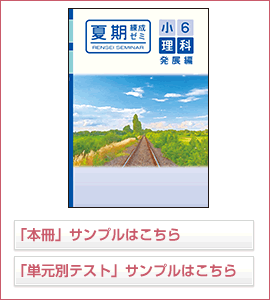 夏期練成ゼミαシリーズ 国語