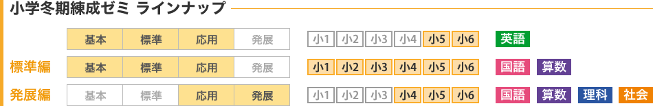 小学冬期練成ゼミ ラインナップ