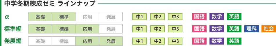 中学冬期練成ゼミ ラインナップ