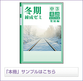 冬期練成ゼミ発展シリーズ 英語