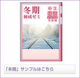 冬期練成ゼミ発展シリーズ 国語