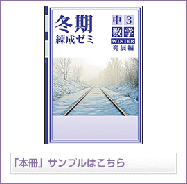 冬期練成ゼミ発展シリーズ 数学