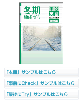 冬期練成ゼミ標準編シリーズ 英語