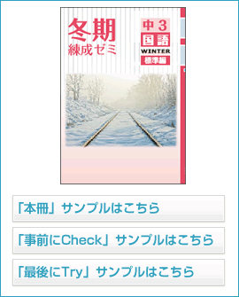 冬期練成ゼミ標準編シリーズ 国語